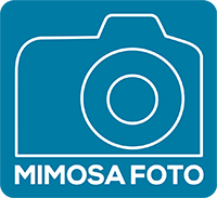 Mimosa Foto Logo
